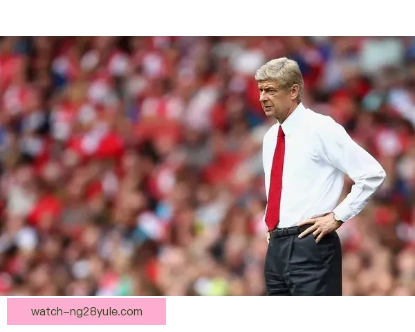 弗格森坎坷不宁人生路风雨十载